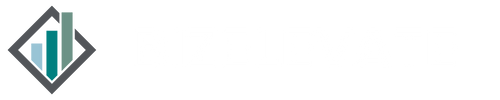 BizElevate Logo